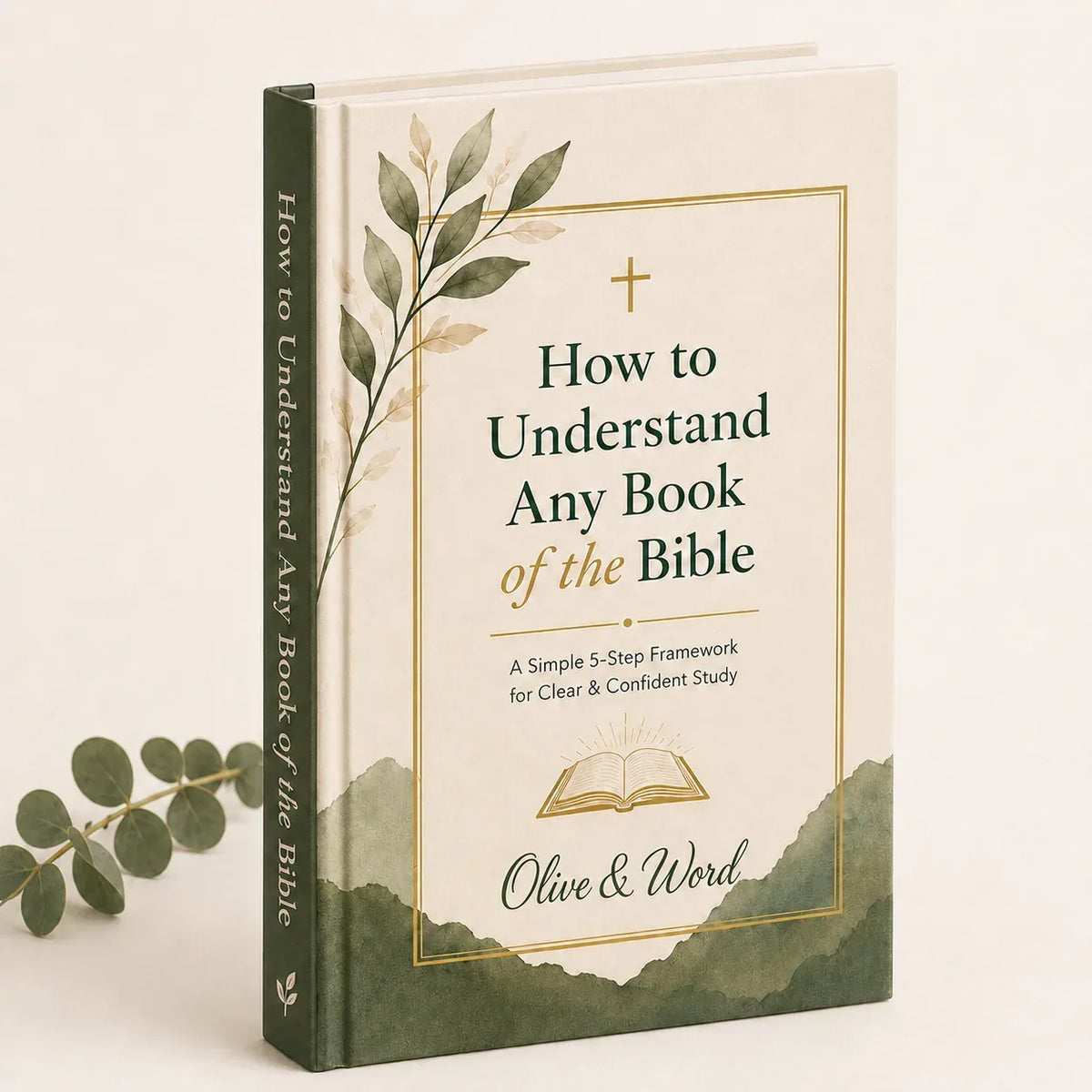 How To Understand Any Book of The Bible E-Book